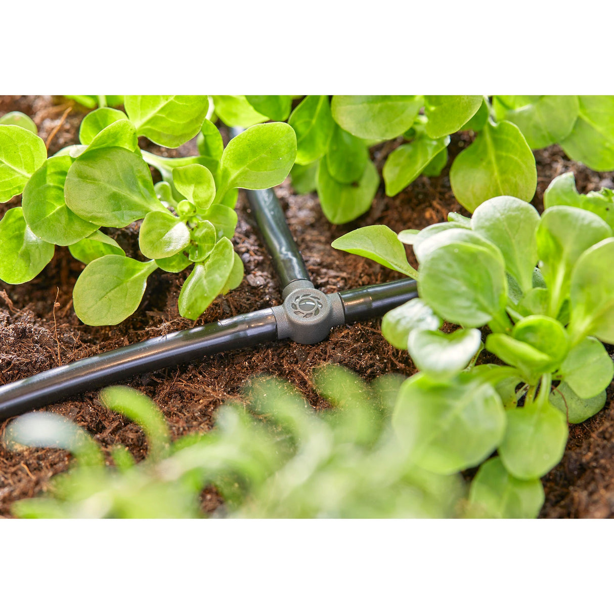 Gardena T-Stéck 4.6 mm (3 16)