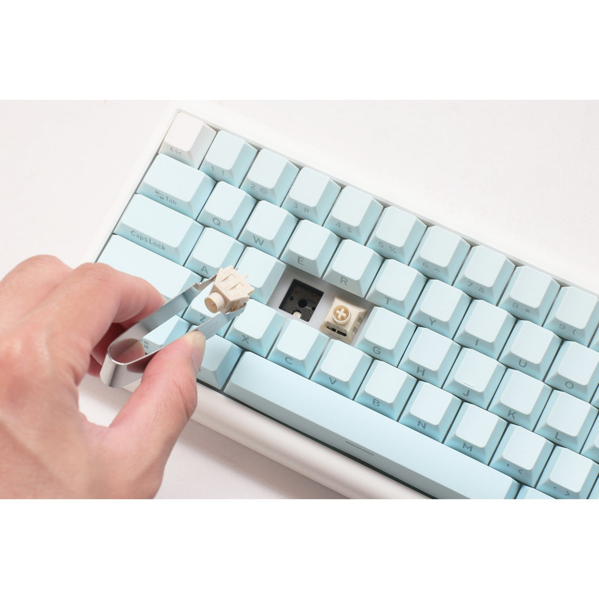 Ducky projectd tinker 65 - pom edition met qmk via, toetsenbord (lichtblauw wit, us lay-out, kailh box cream pro, rgb led, double-shot pbt, hot-swappable pom, gasket mount, 65%)
