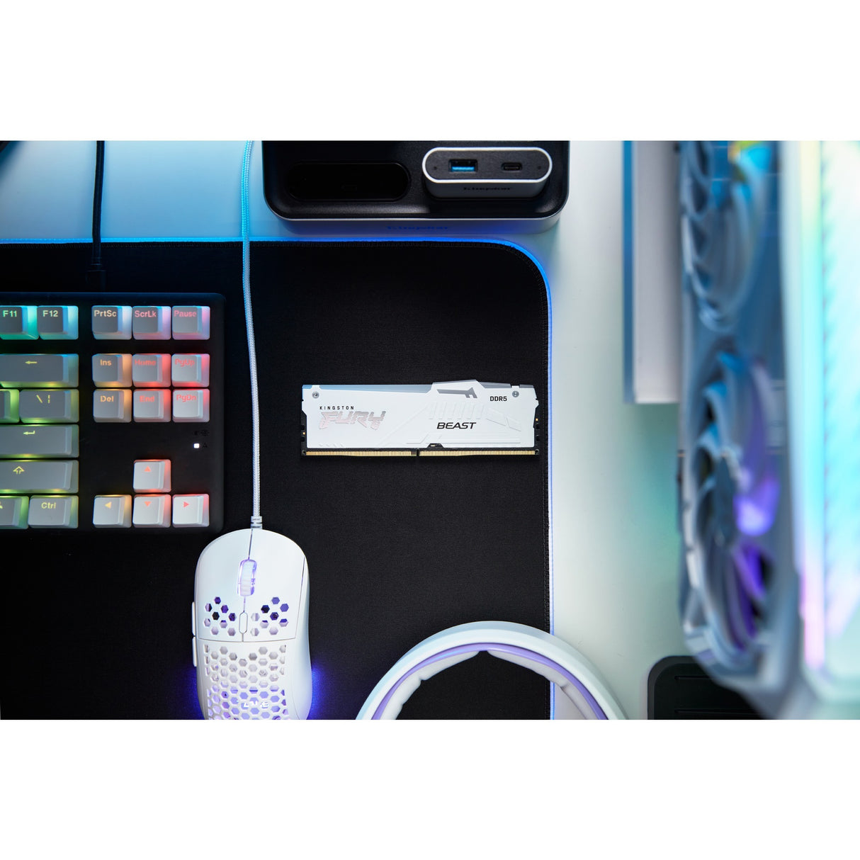 Kingston FURY 16GB DDR5-5600 RAM (White, KF556C40BWA-16, Beast RGB, XMP)