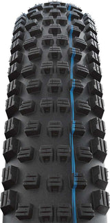 Schwalbe Tire "Wicked Will" Evolution Line Tire Schwalbe Wicked Will Evol.Line 57-622