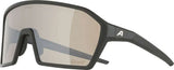 Alpina ram q-lite v - sports glasses