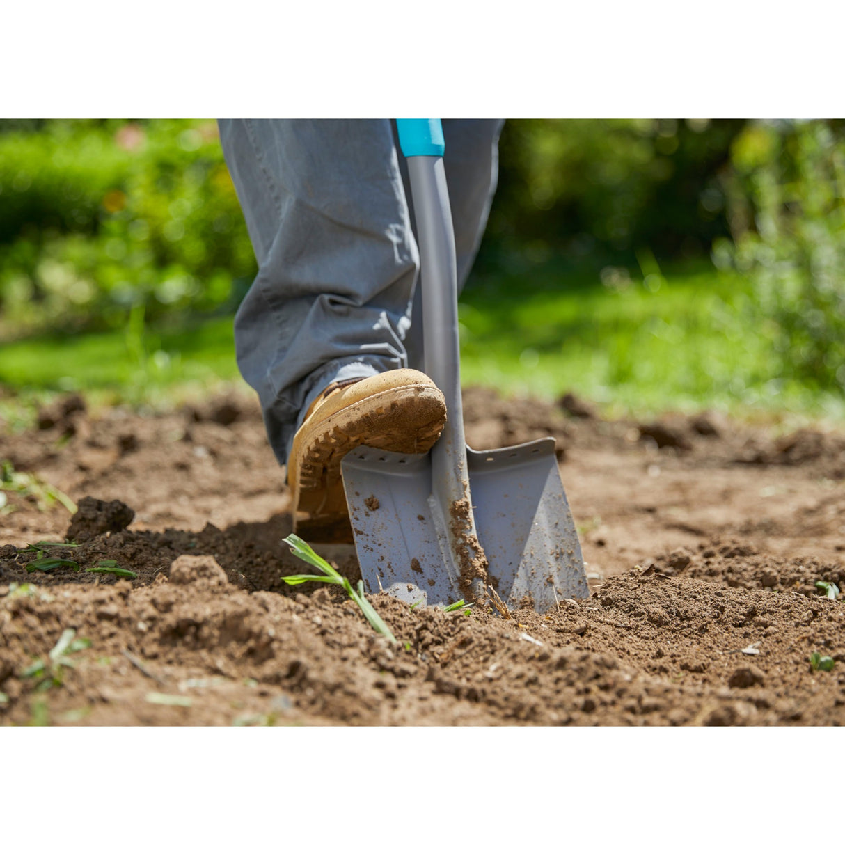 GARGAA EGLOLINE SPADE