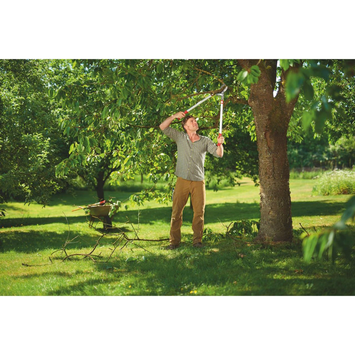 Wolf-garten power cut rs 800 v takkenschaar (rood zilver)