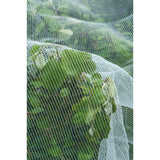 Nature Anti-insect Mesh Insect Screen (White Transparent, 5.2 x 5 m)