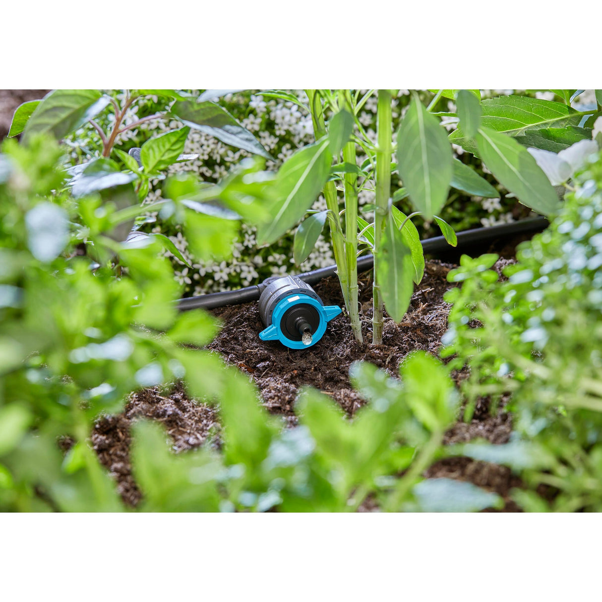Gardena réglable Serieddruppelaar 1-8 L u, boussole de pression