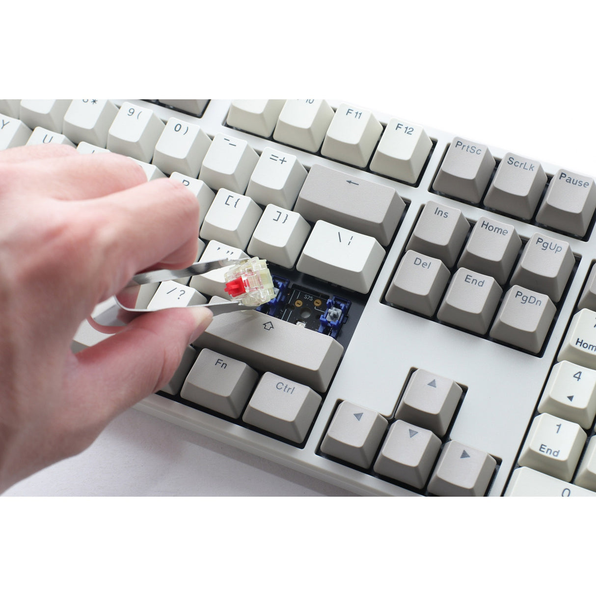 Vintage Bunús Ducky