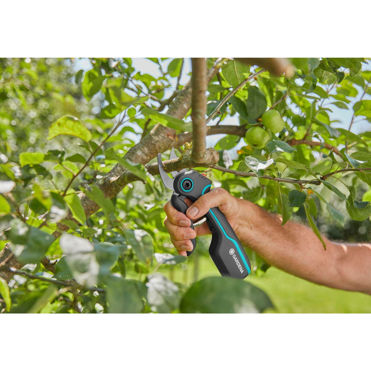 Gardena Gardena Pruning Shears Assistcut