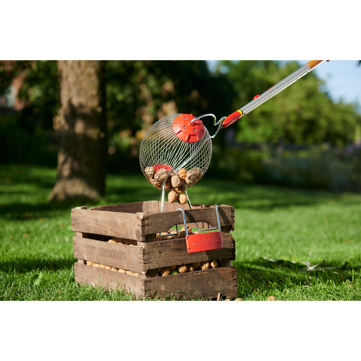 Колектор за плодове WOLF-Garten FC-MS