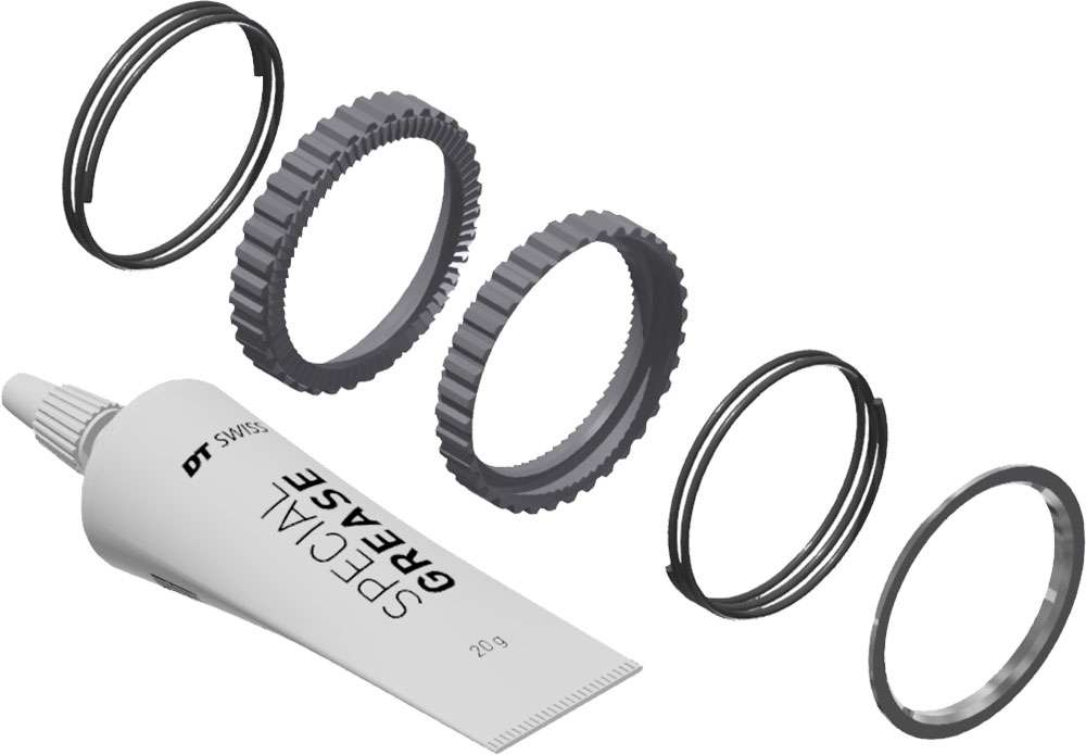 Dt swiss ratchet deg 72t service kit