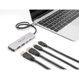 DeLOCK USB 10 Gbps USB-C šakotuvas