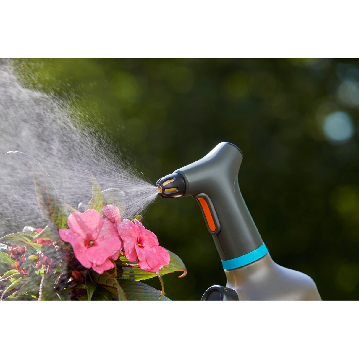 GARGADA Planz spritzen 1 l einfach