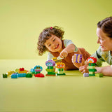 Lego duplo town 10444 jardin fleuri créatif