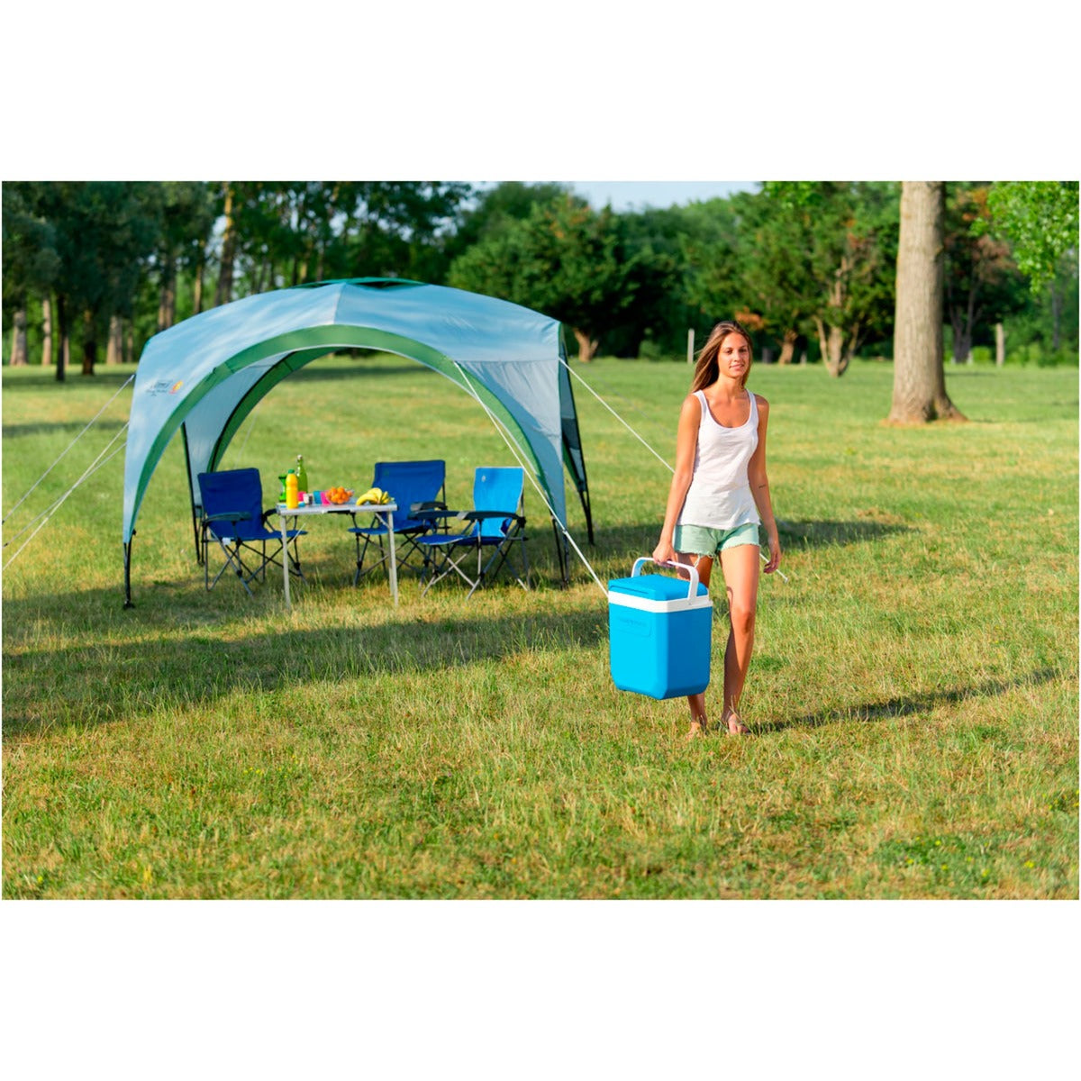 Campingaz Icetime Plus cool box 30L Blue