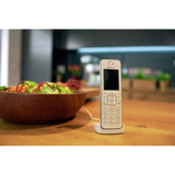 Fritz!Fon C6 International Handset (white)
