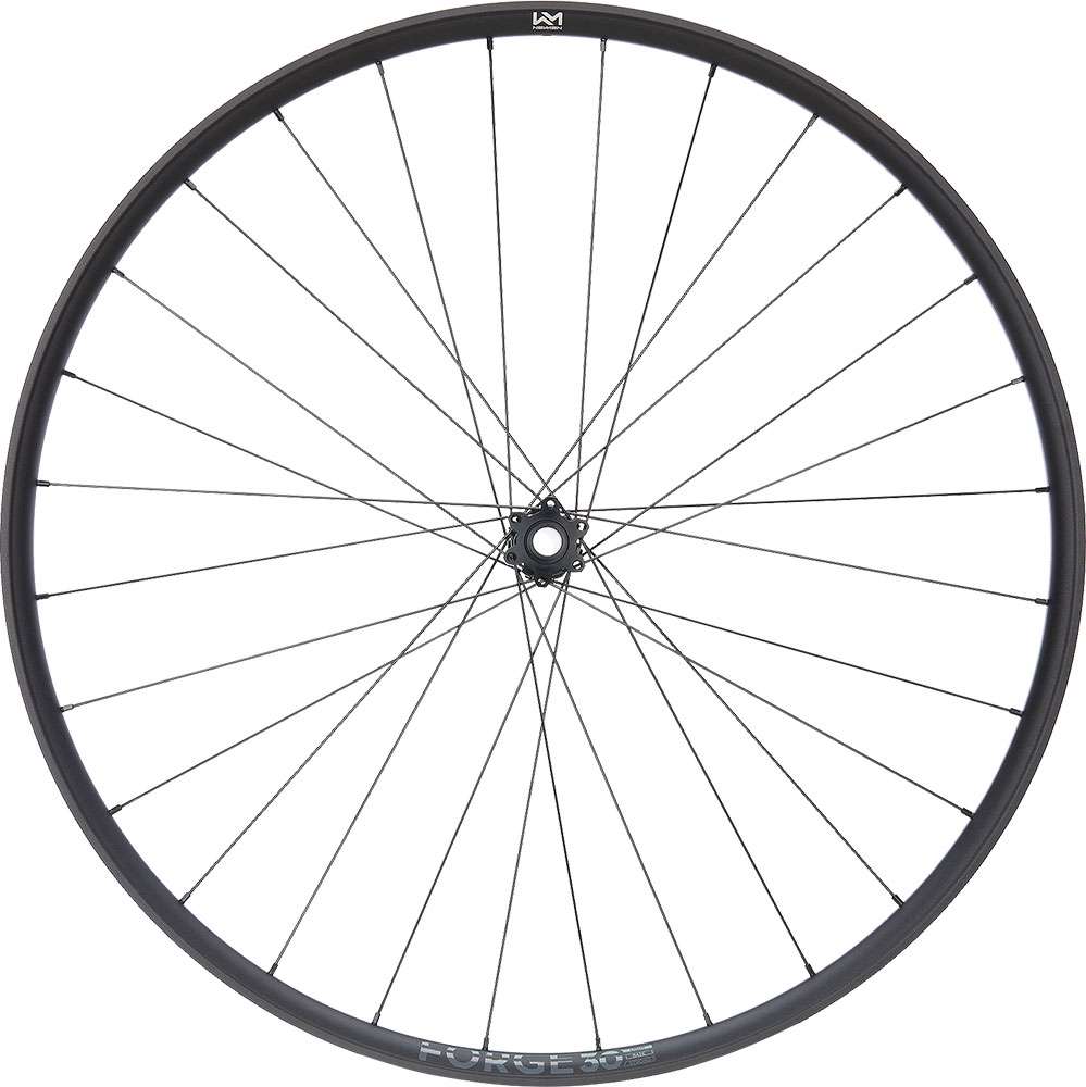Newmen forge 30 light xc 29 6-bolt 15x110 fade front wheel