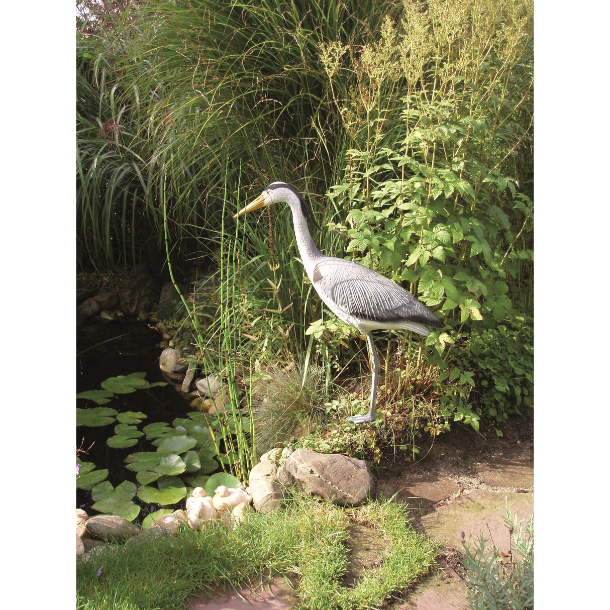 Ubbink Reiger com 1 perna