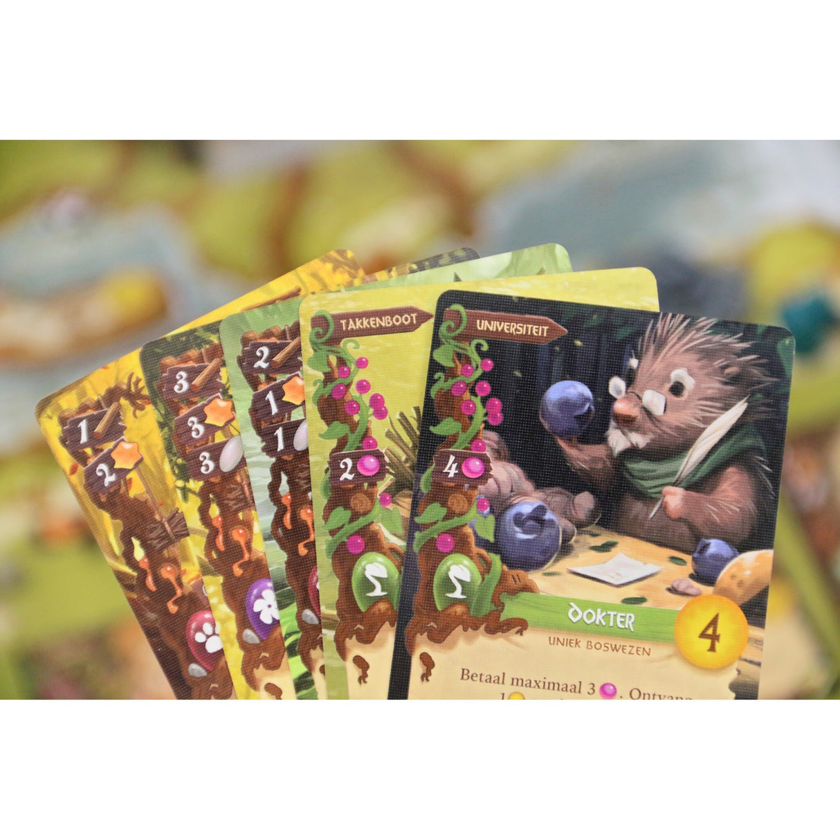 White Goblin Games Everdell -brettspill