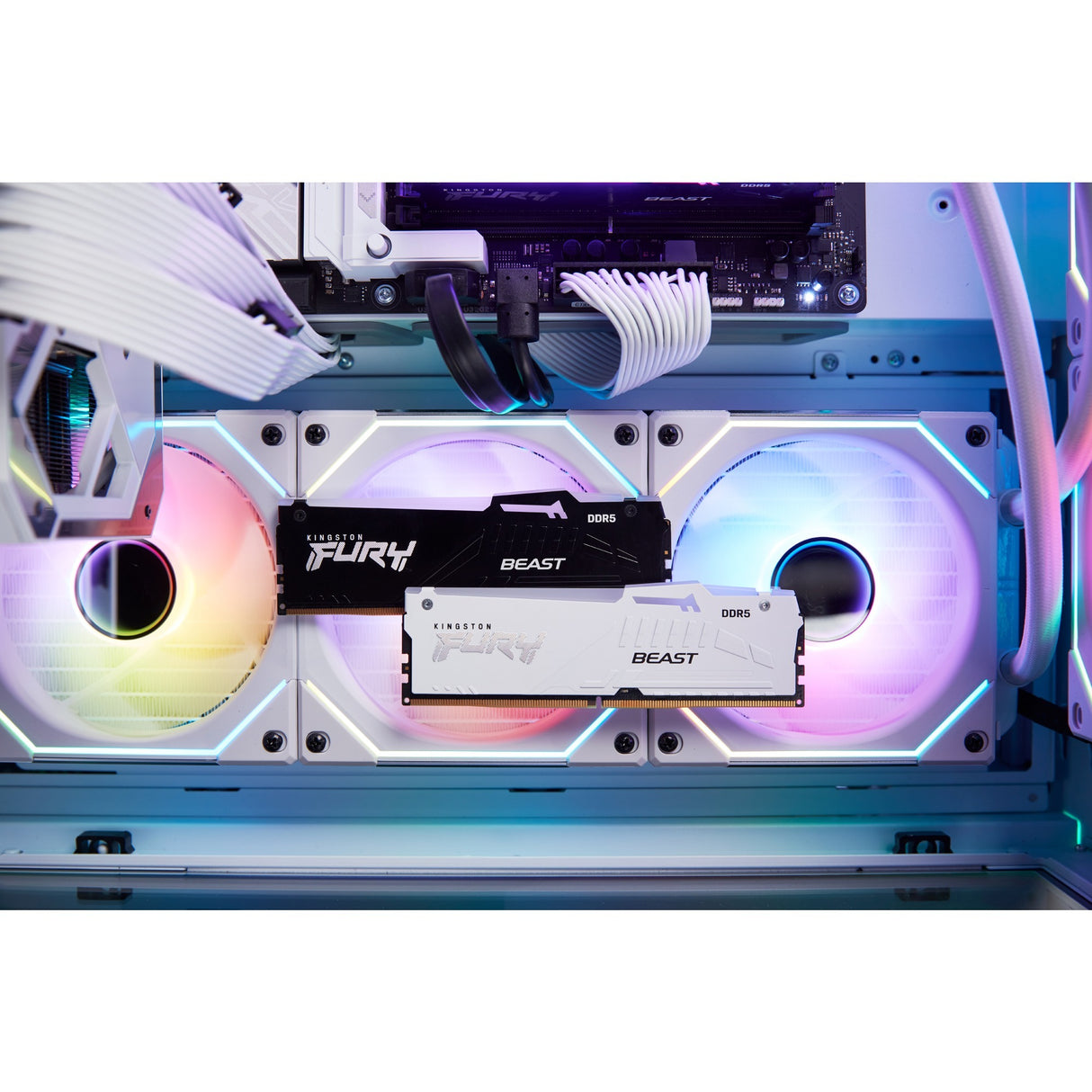 Kingston FURY 16GB DDR5-5600 RAM (White, KF556C40BWA-16, Beast RGB, XMP)
