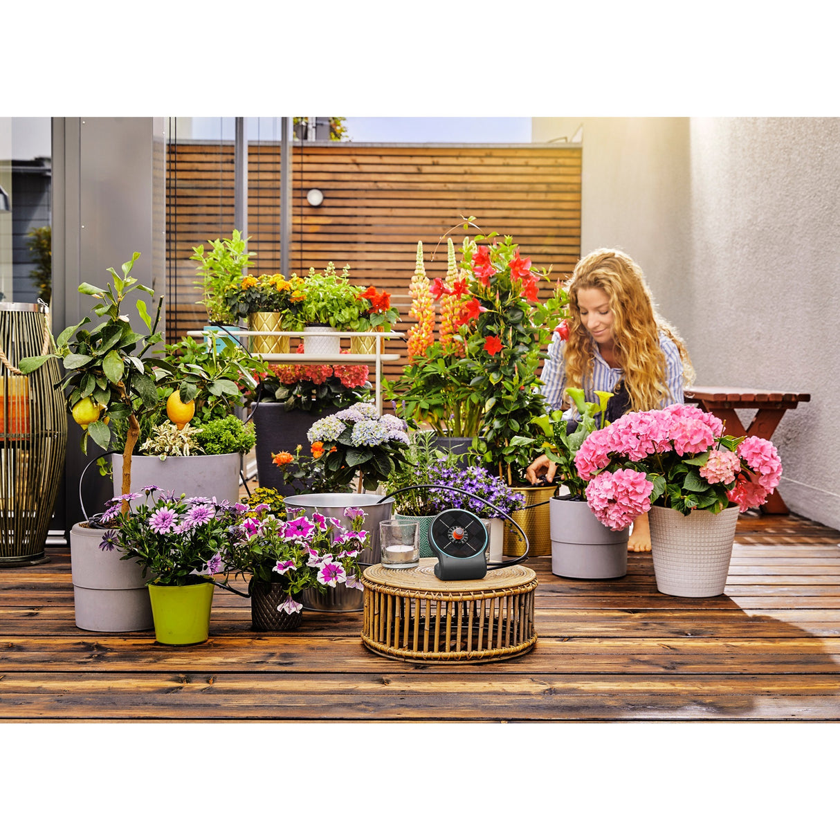 Gardena Holiday Watering Set aquabloom set irrigation computer (grey, 13300-20, battery included)