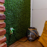 9501866275348