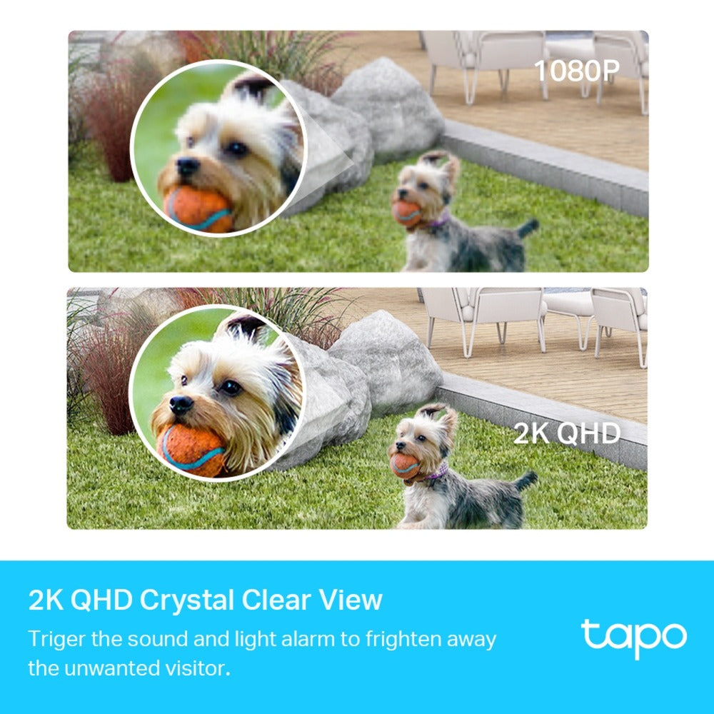 TP-Link Tapo C420s1