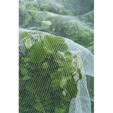 Mesh insecte de la nature, fine-mailli