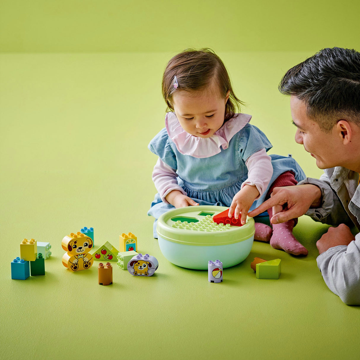 Lego duplo 10441 hišica za kužke