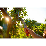 Wolf-Garten z več zvezdicami žaga 370 podružnice