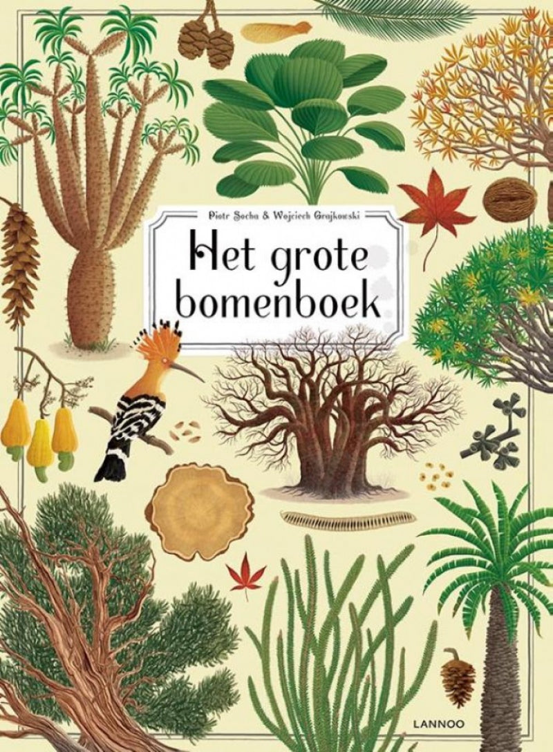 Mondikaarten het grote bomenboek
