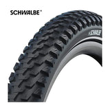 Schwalbe'a