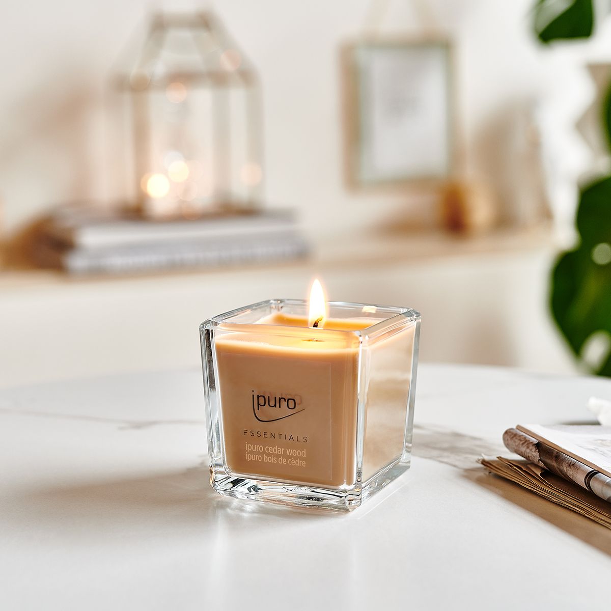 Ipuro duftlys cedertræ 125gr.
