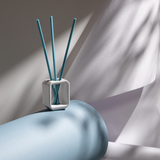 Set de vases bâtonnets parfumés Ipuro champs de coton blanc