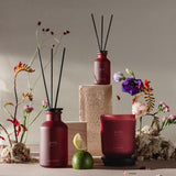 Ipuro difusor de fragancias jardin 75ml