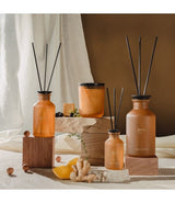 Vela perfumada de ipuro vitalité 270gr