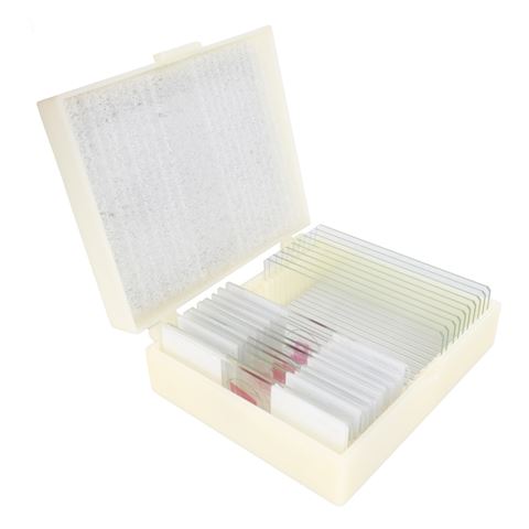 Konus Preparations Set Biology: Zo�logie 1 (25 pieces)