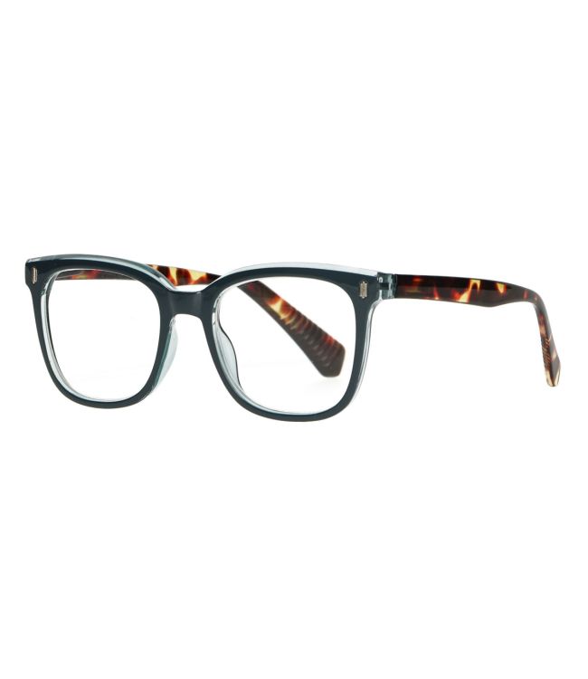 Spektrum liest Brëller blo Havana 1,50