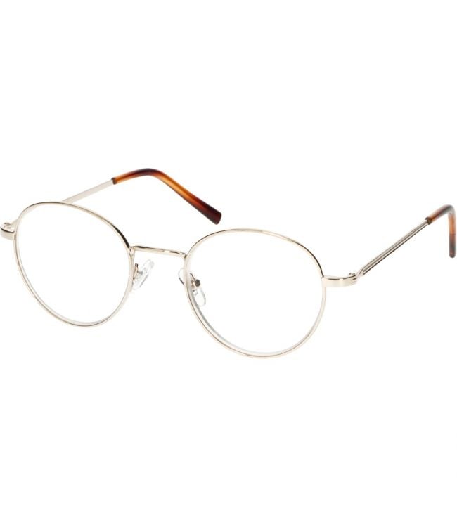 Spektrum -Lesebrille um Silver Classic 1.00