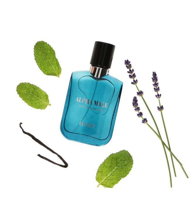 Lamusê lamuse eau de toilette spray men alpha male pour homme 100ml