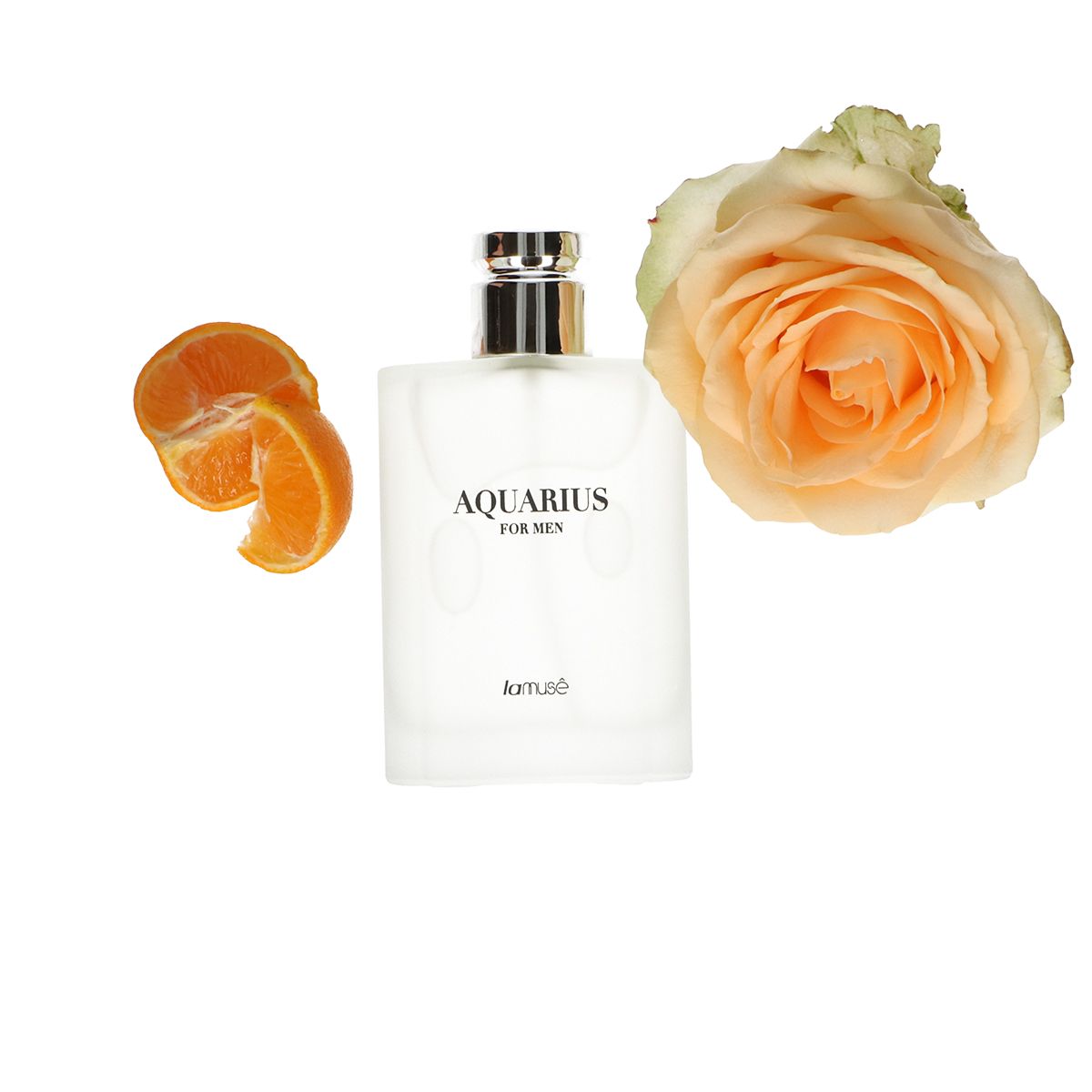 Lamusê lamuse eau de toilette spray men aquarius 100ml