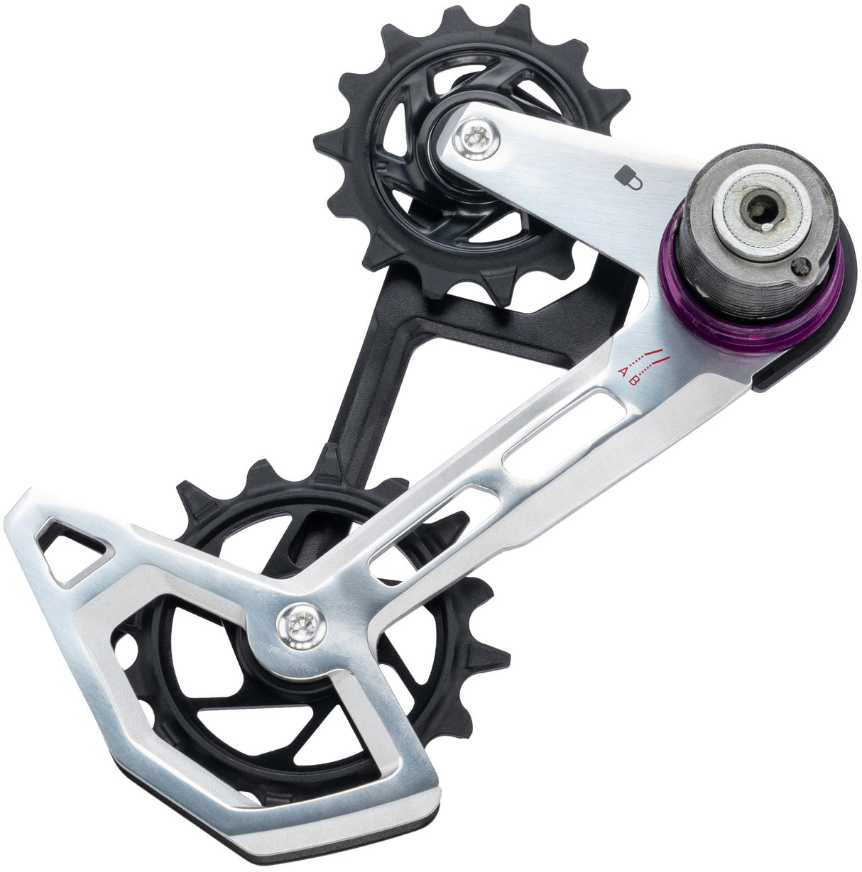 Sram xx eagle cage kit axs