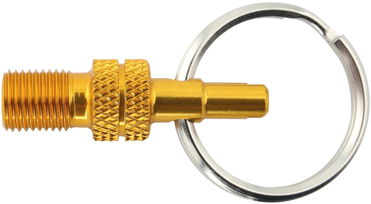 Adattatore Valish di, Schulz Mini Sv DV -> AV Gold