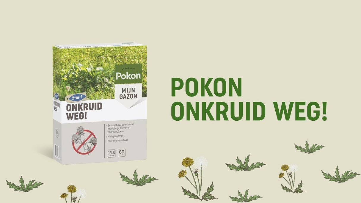 Pokon désherbant 80 m2 1600 gr