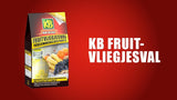 Kb-Kontrolle kb-Fruchtfliegenfalle 1