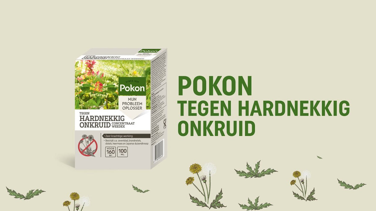 Pokon contra ervas daninhas teimosas concentrado 100ml weedex
