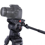 Nest Video Tripod NT-670 + Liquid-Ducketed Head