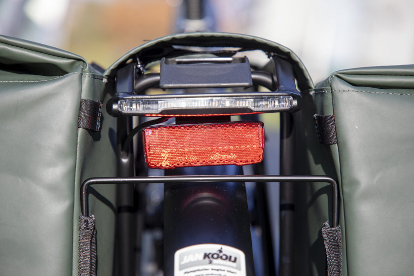 Fahrradbeutel Odense - harte, geräumige Doppel -Rucksack für Elektrofahrräder - grün