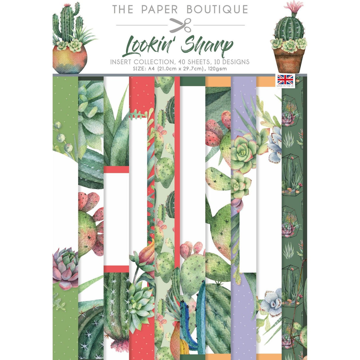 The paper boutique • lookin sharp insert collection