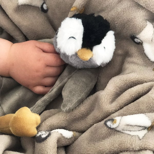 Petú petú petú petú aka coccola pinguin