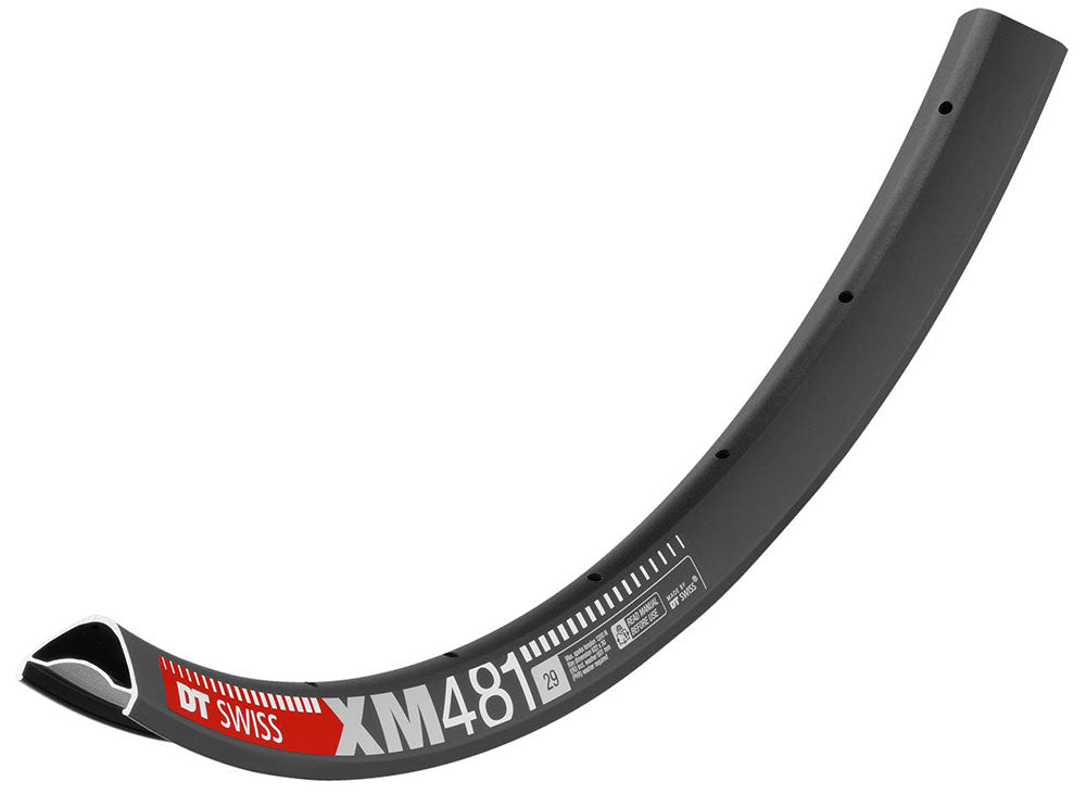 Dt swiss xm 481 disc rim 32 hole | 29