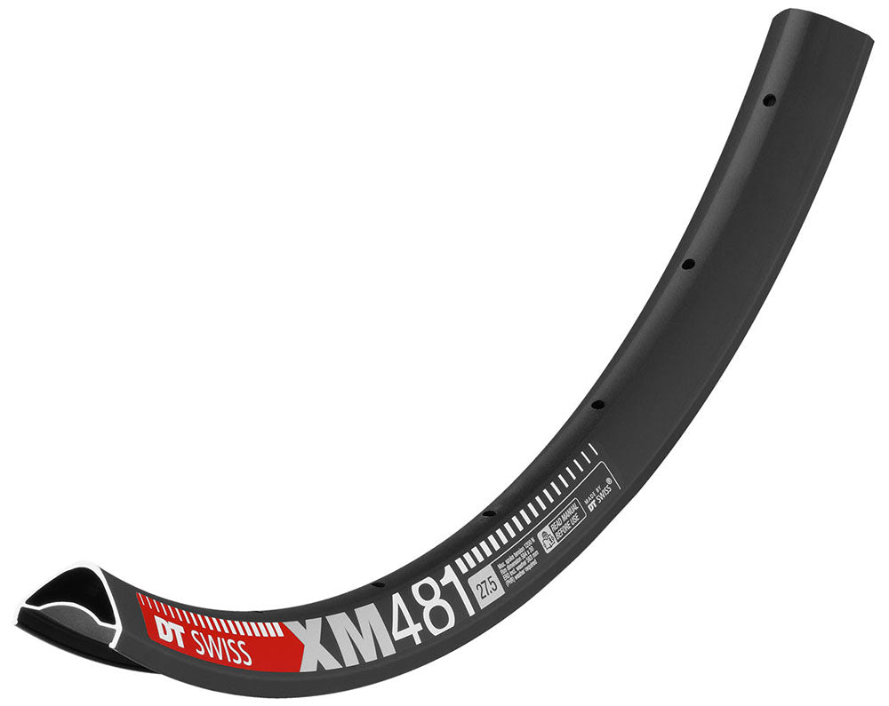 Dt swiss xm 481 disc rim 28 hole | 29